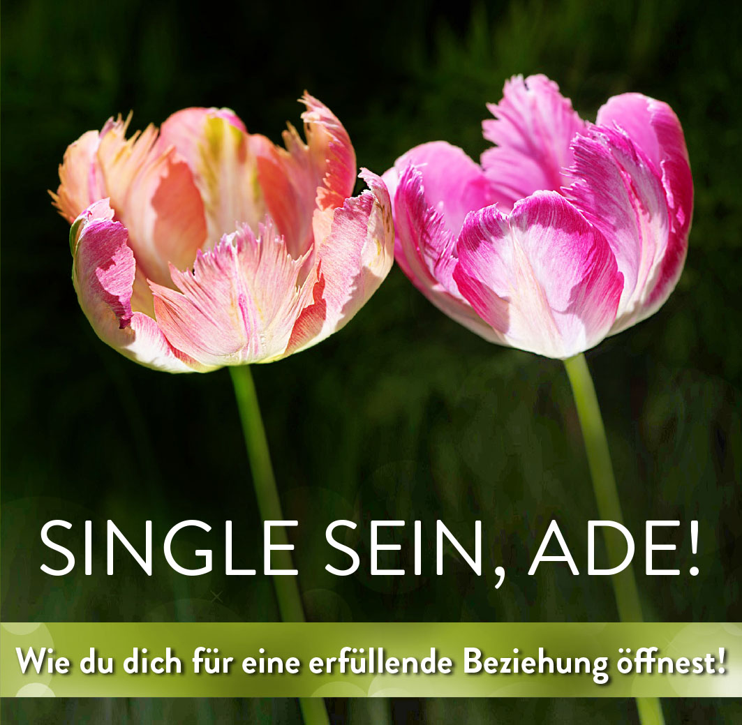 Single ade_ Quadratisch_Wie
